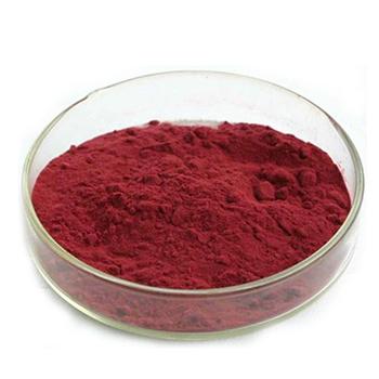 Ferric Oxide CAS 1309-37-1