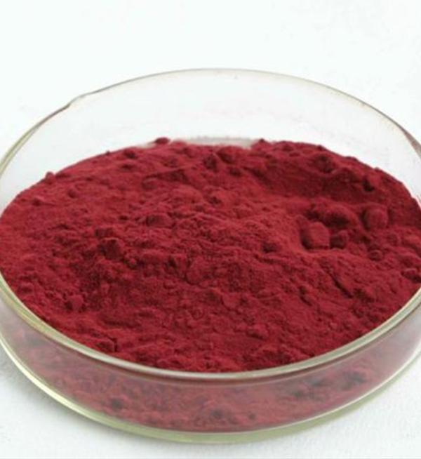 Disperse Red 60 / Disperse Red E-4B Cas 17418-58-5