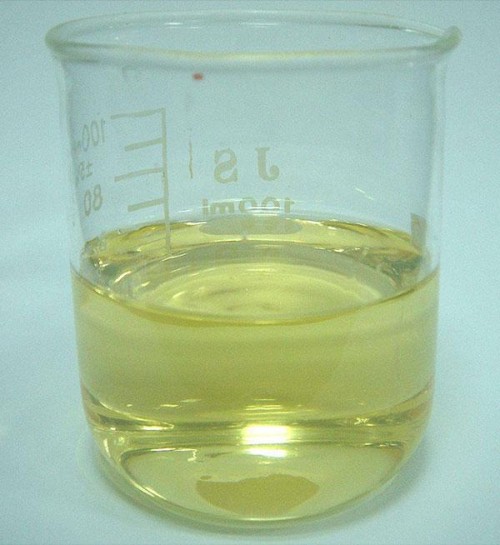 Ginger Oil CAS 8007-08-7