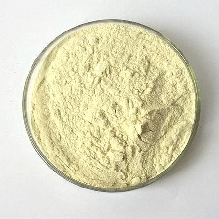Arabinogalactan Cas 9036-66-2